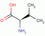 640-68-6 D-Valine