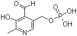 54-47-7;853645-22-4 Pyridoxal 5'-phosphate